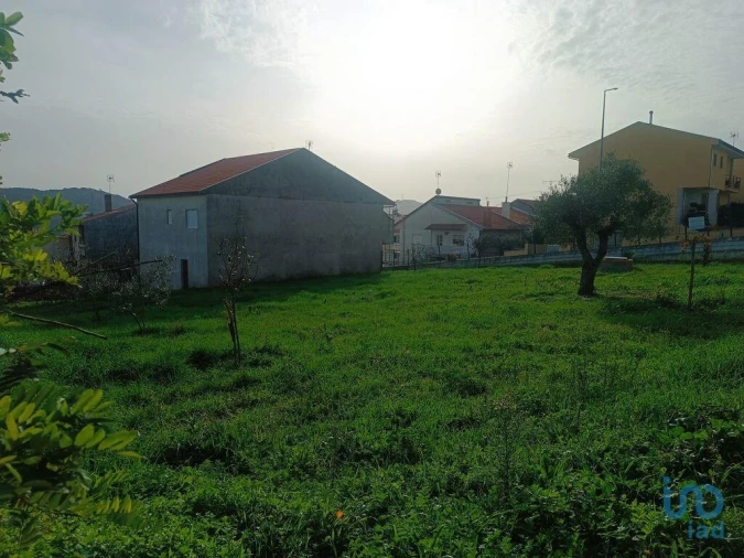 Terreno para Venda em Mogadouro, Valverde, Vale de Porco e Vilar de Rei Foto 7