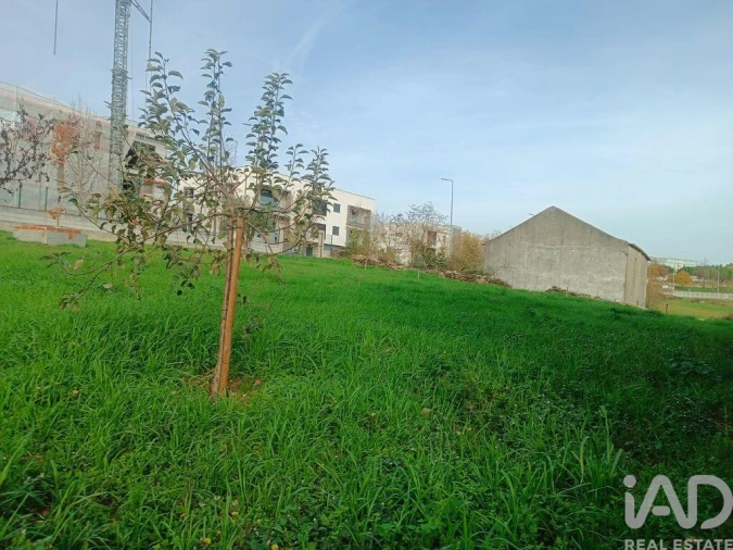 Terreno para Venda em Mogadouro, Valverde, Vale de Porco e Vilar de Rei Foto 19
