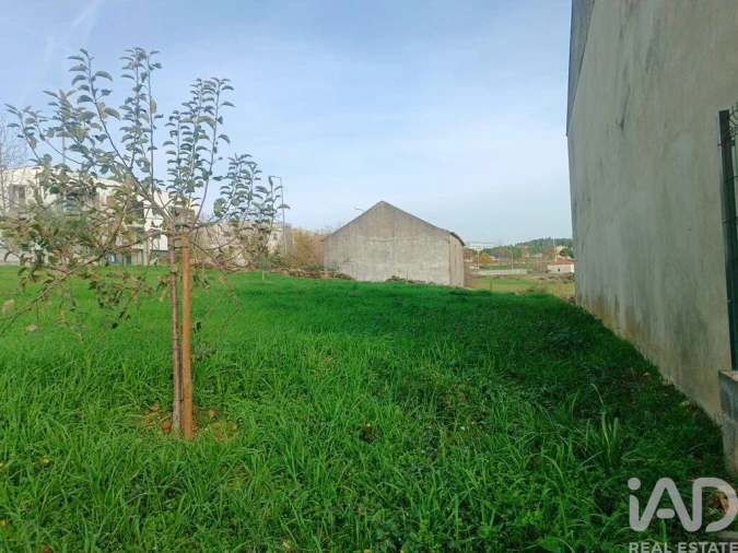 Terreno para Venda em Mogadouro, Valverde, Vale de Porco e Vilar de Rei Foto 16
