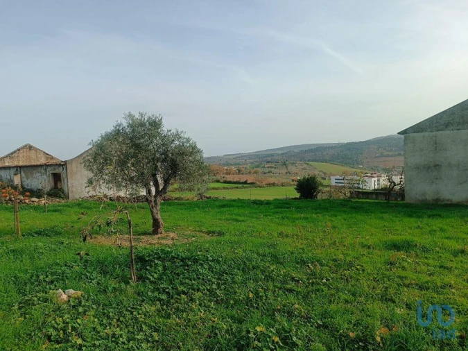 Terreno para Venda em Mogadouro, Valverde, Vale de Porco e Vilar de Rei Foto 12