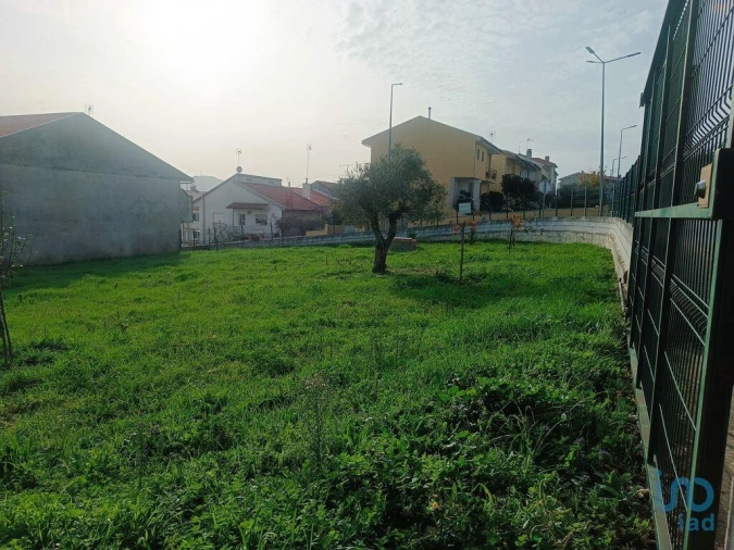 Terreno para Venda em Mogadouro, Valverde, Vale de Porco e Vilar de Rei Foto 6