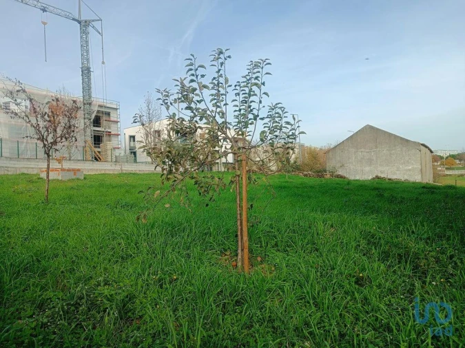 Terreno para Venda em Mogadouro, Valverde, Vale de Porco e Vilar de Rei Foto 15
