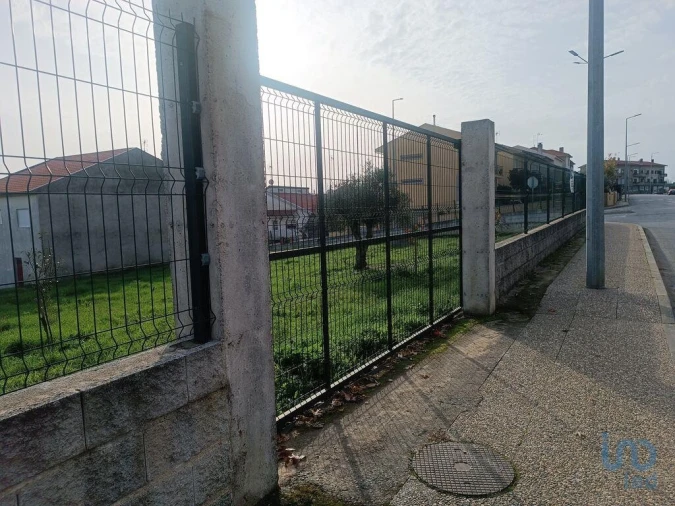 Terreno para Venda em Mogadouro, Valverde, Vale de Porco e Vilar de Rei Foto 8