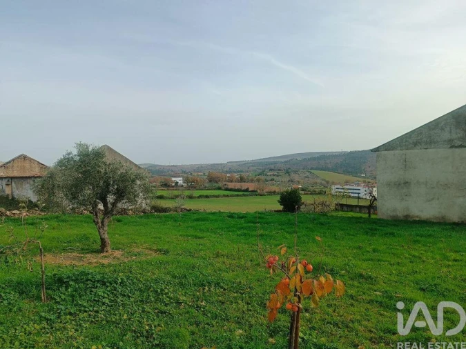 Terreno para Venda em Mogadouro, Valverde, Vale de Porco e Vilar de Rei Foto 24