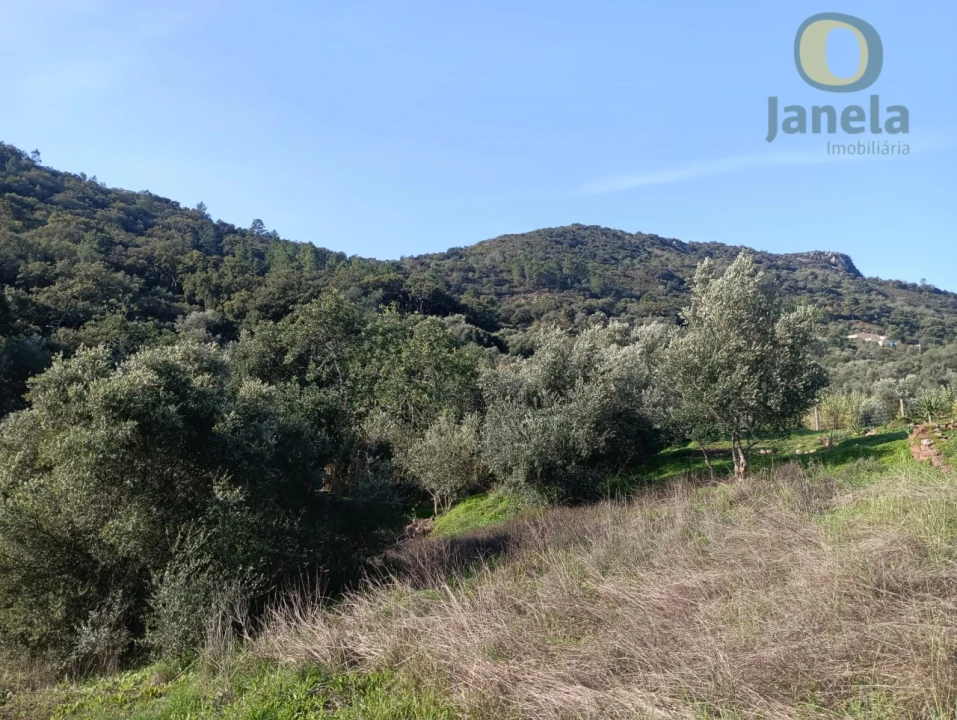 Terreno para Venda em Salir Foto 8