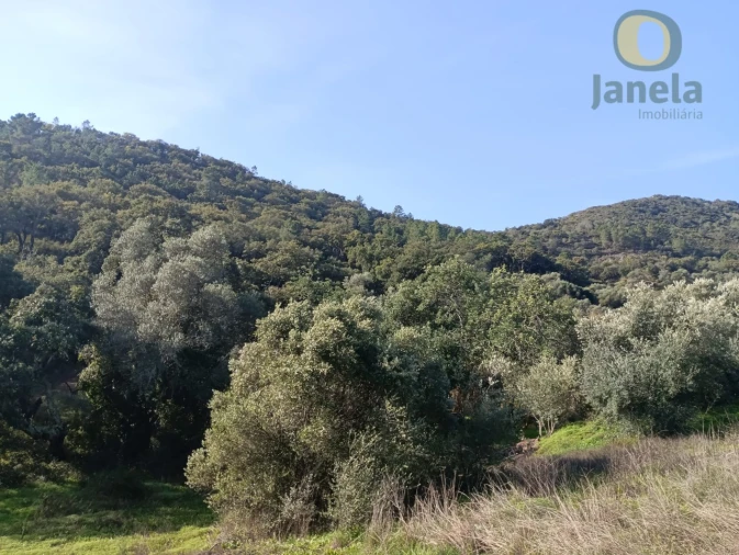 Terreno para Venda em Salir Foto 9