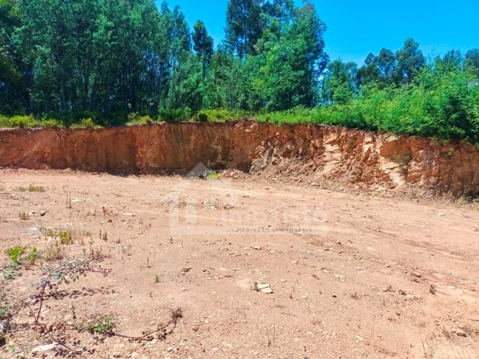 Terreno para Venda em Castanheira de Pêra e Coentral Foto 2
