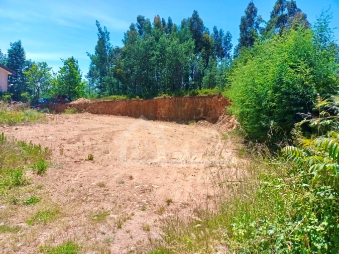 Terreno para Venda em Castanheira de Pêra e Coentral Foto 3