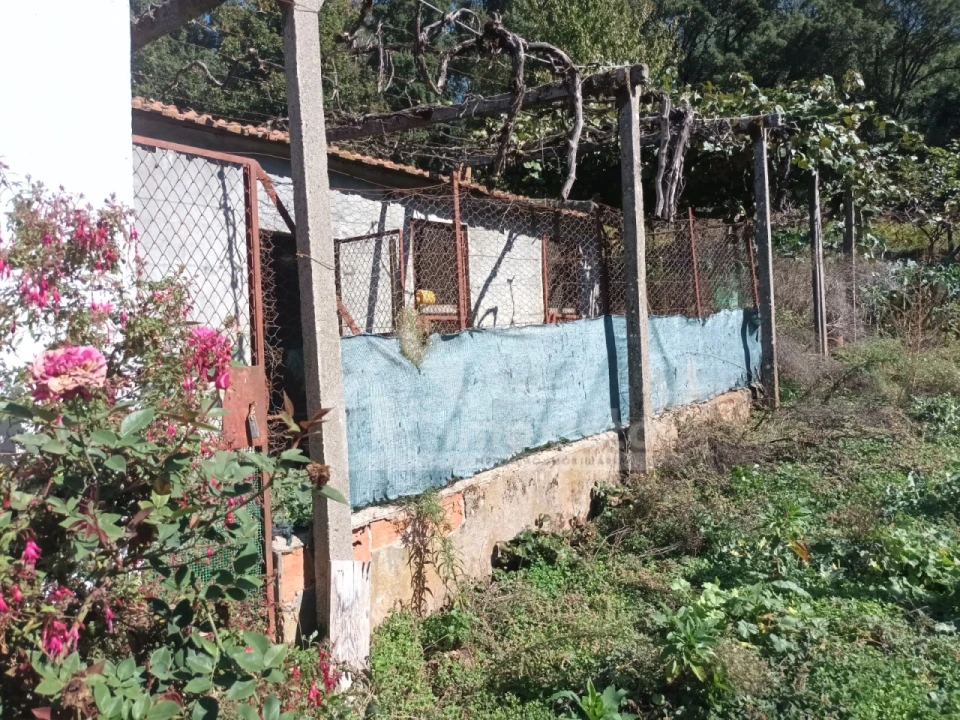 Moradia T3 para Venda em Campelo Foto 49