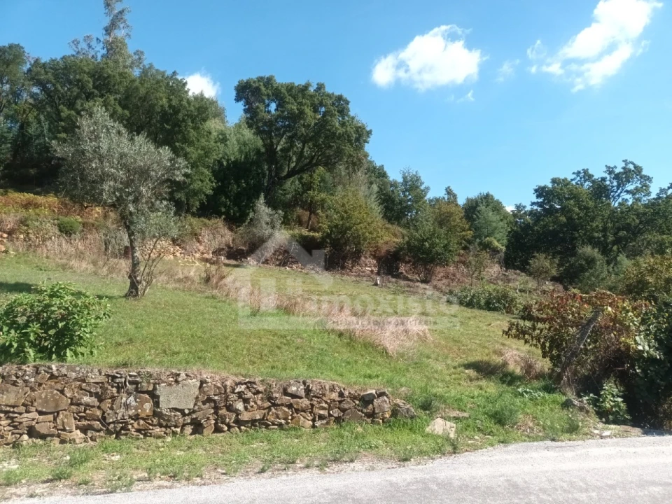 Moradia T3 para Venda em Campelo Foto 59