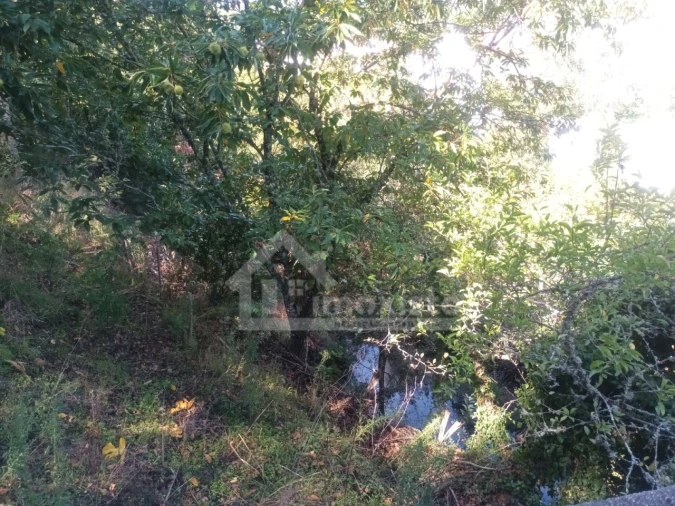 Moradia T3 para Venda em Campelo Foto 60