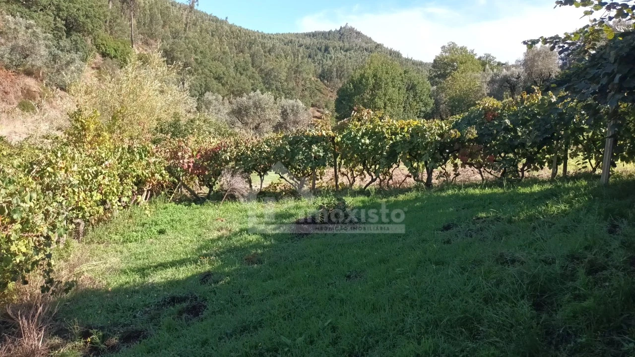 Quinta T4 para Venda em Aguda Foto 41