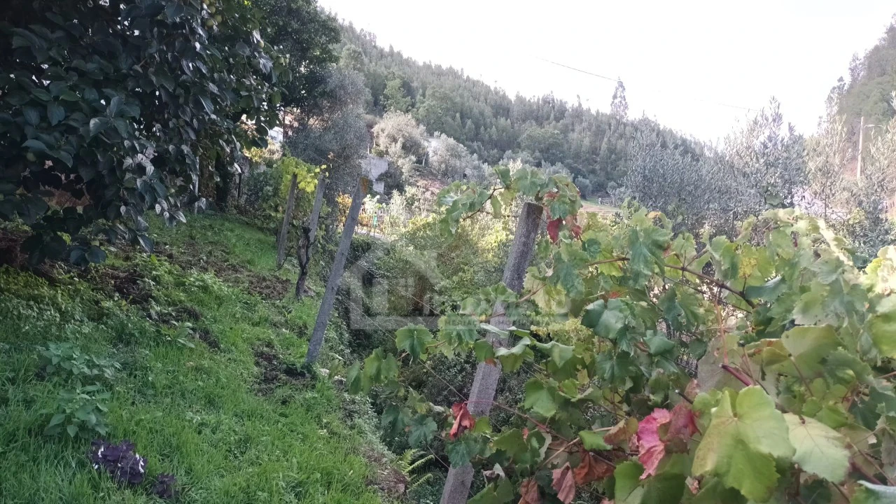 Quinta T4 para Venda em Aguda Foto 44