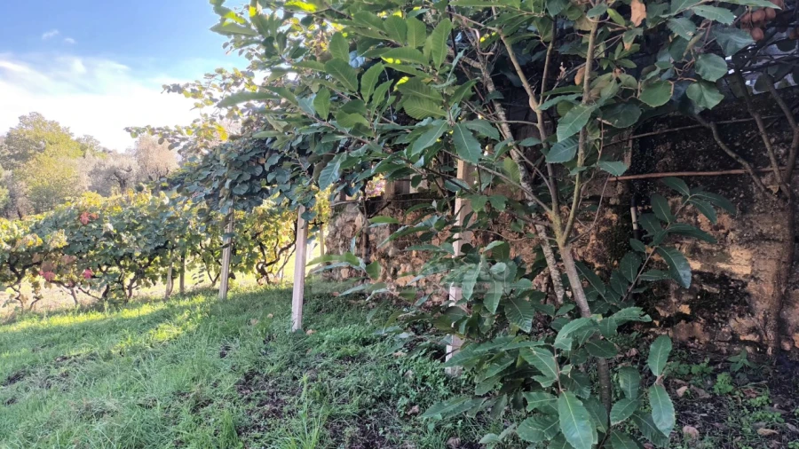 Quinta T4 para Venda em Aguda Foto 42