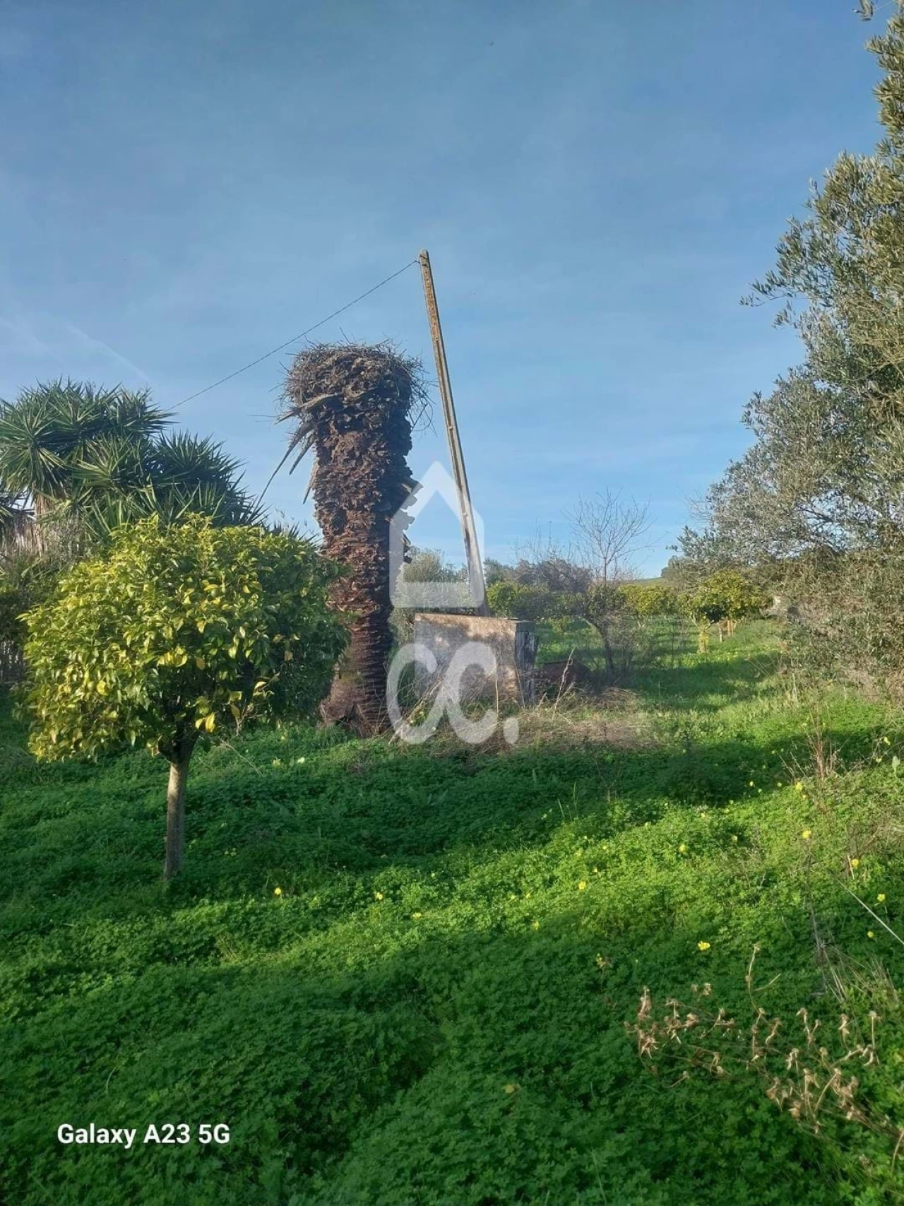 Terreno para Venda em Baleizão Foto 9
