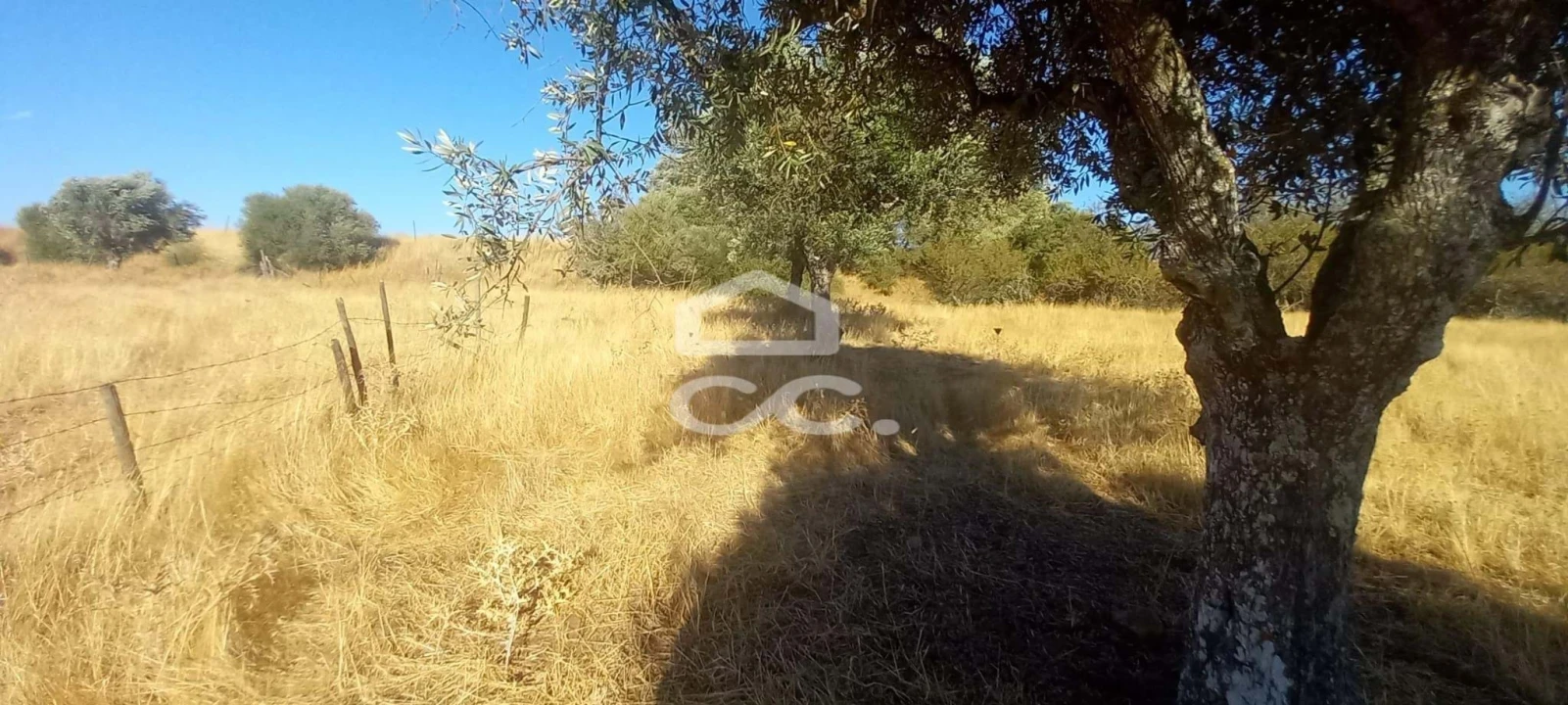 Terreno para Venda em Baleizão Foto 23