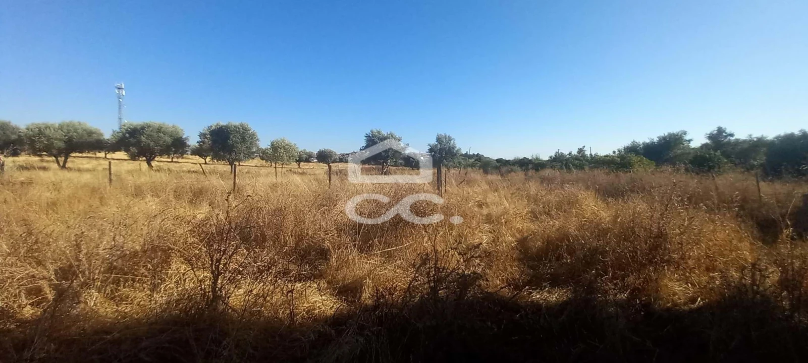 Terreno para Venda em Baleizão Foto 37