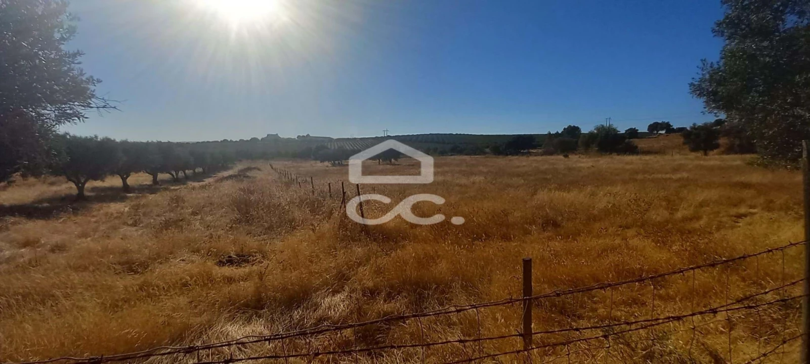 Terreno para Venda em Baleizão Foto 20