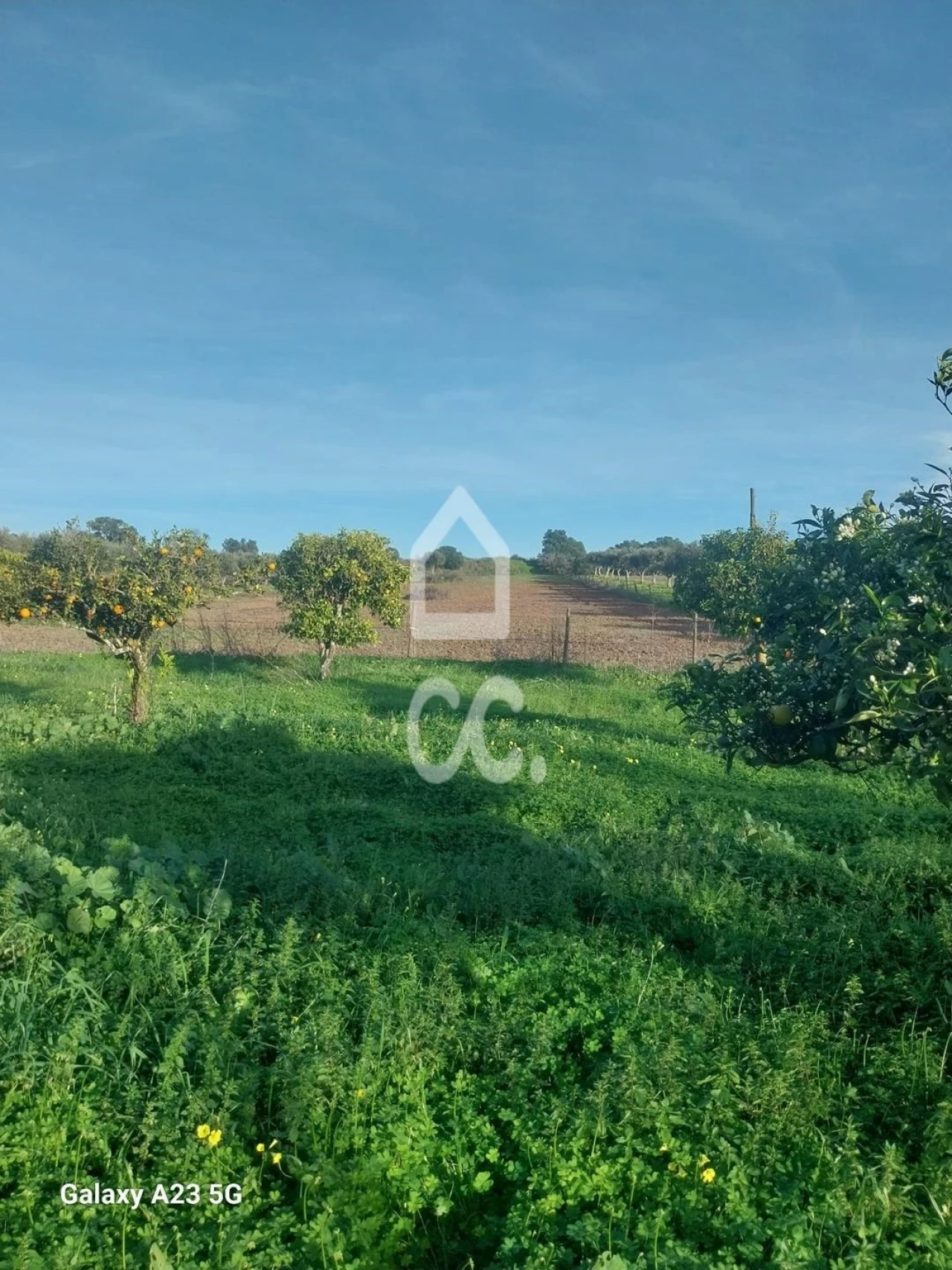 Terreno para Venda em Baleizão Foto 5