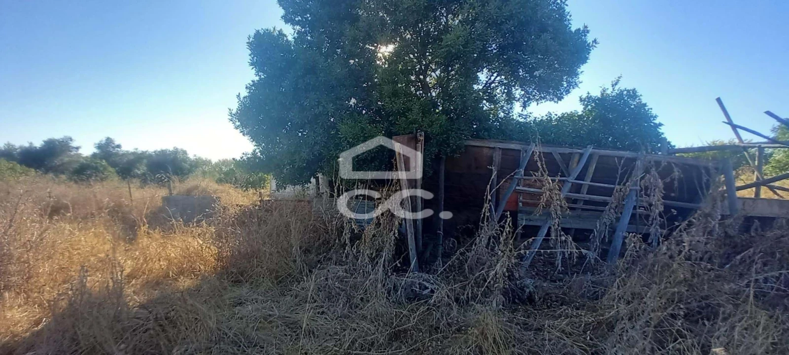 Terreno para Venda em Baleizão Foto 36