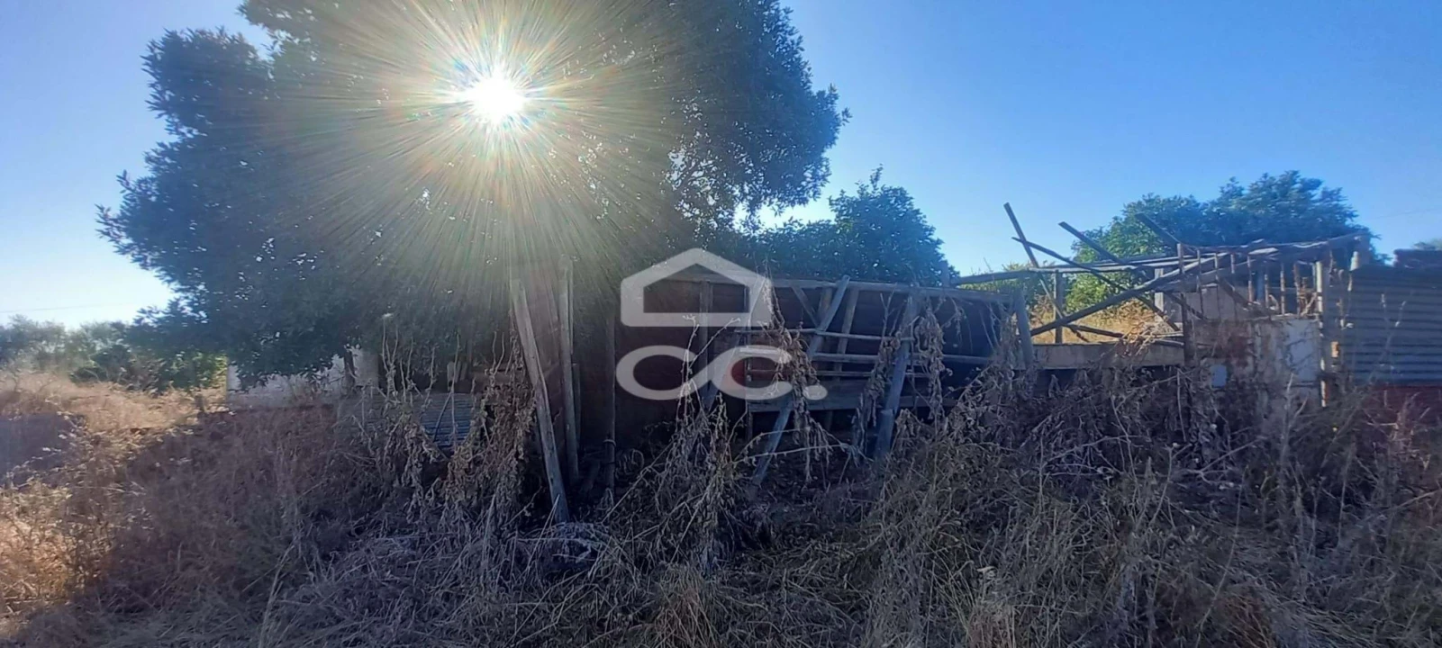 Terreno para Venda em Baleizão Foto 35