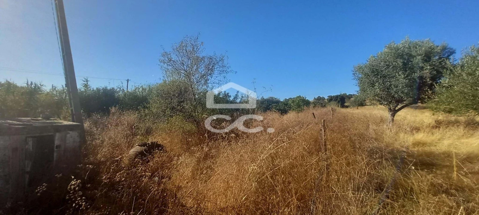 Terreno para Venda em Baleizão Foto 29