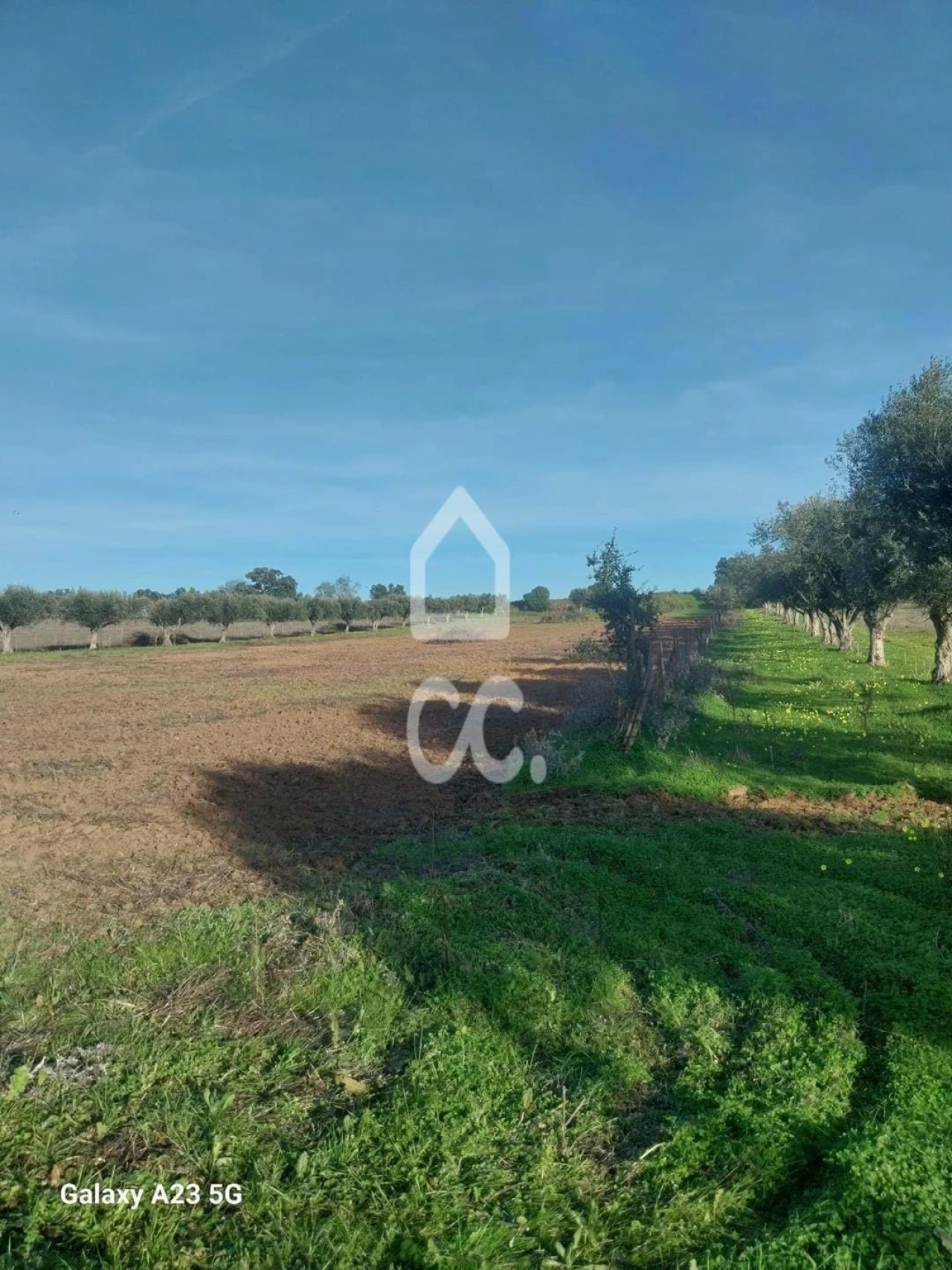 Terreno para Venda em Baleizão Foto 11