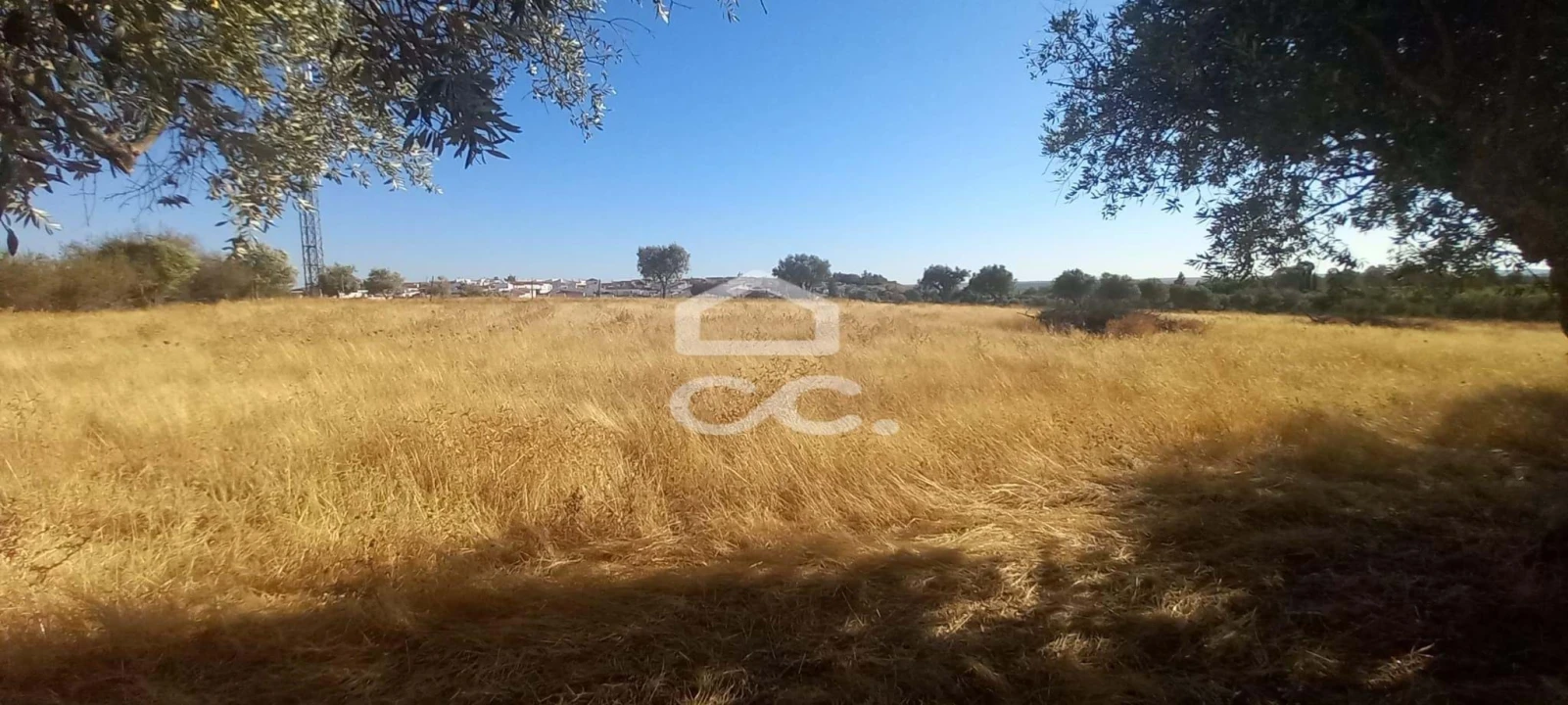 Terreno para Venda em Baleizão Foto 22