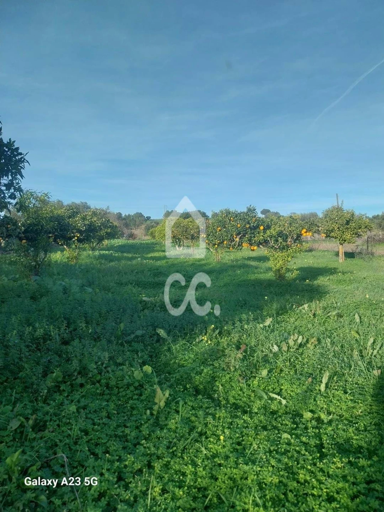 Terreno para Venda em Baleizão Foto 4