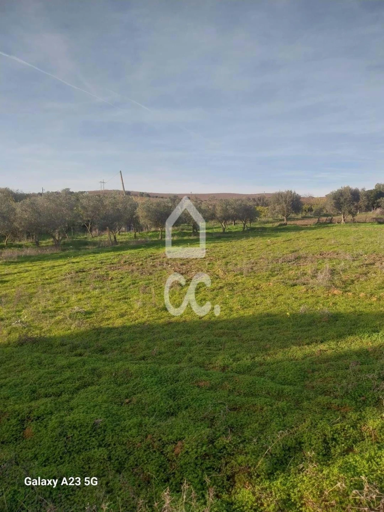 Terreno para Venda em Baleizão Foto 7