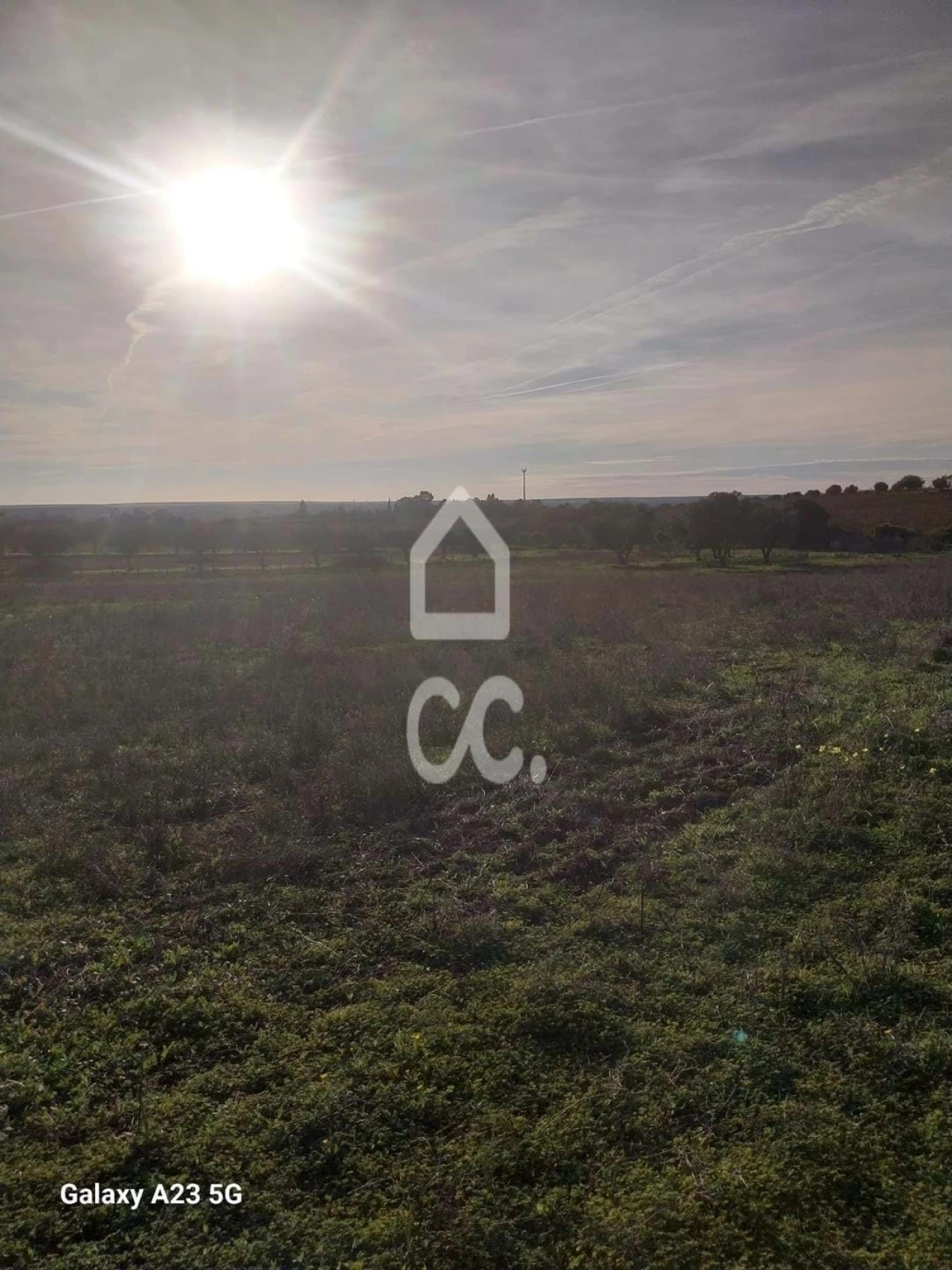 Terreno para Venda em Baleizão Foto 14