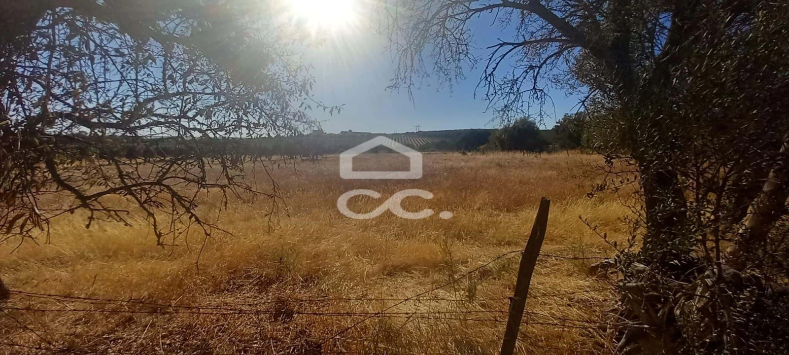 Terreno para Venda em Baleizão Foto 19