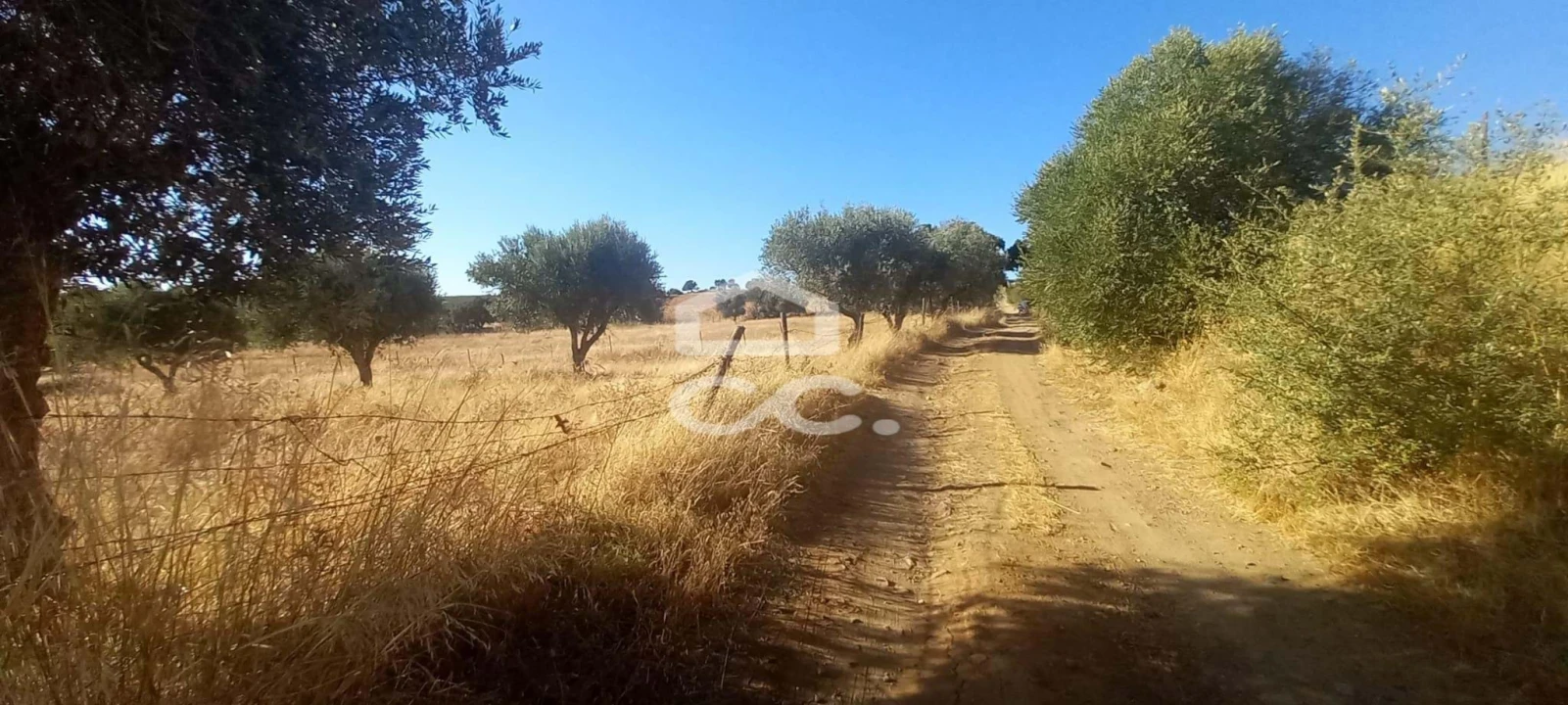 Terreno para Venda em Baleizão Foto 2