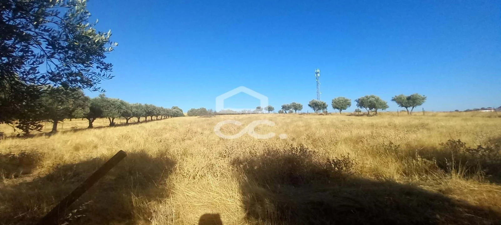 Terreno para Venda em Baleizão Foto 33