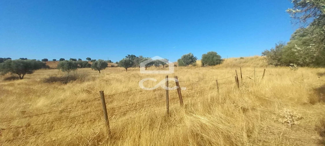 Terreno para Venda em Baleizão Foto 25