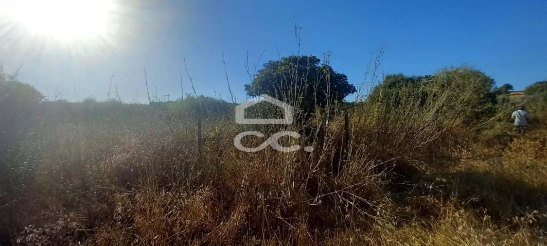 Terreno para Venda em Baleizão Foto 39