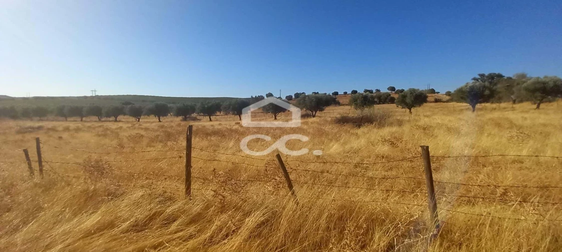 Terreno para Venda em Baleizão Foto 24