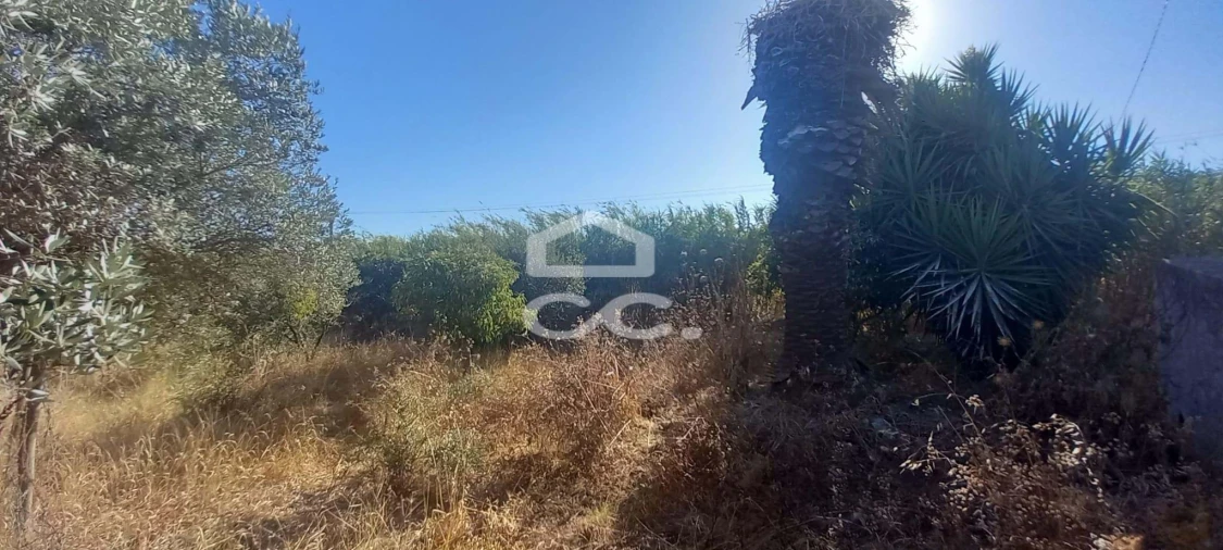 Terreno para Venda em Baleizão Foto 28