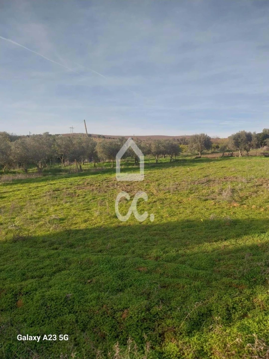 Terreno para Venda em Baleizão Foto 7