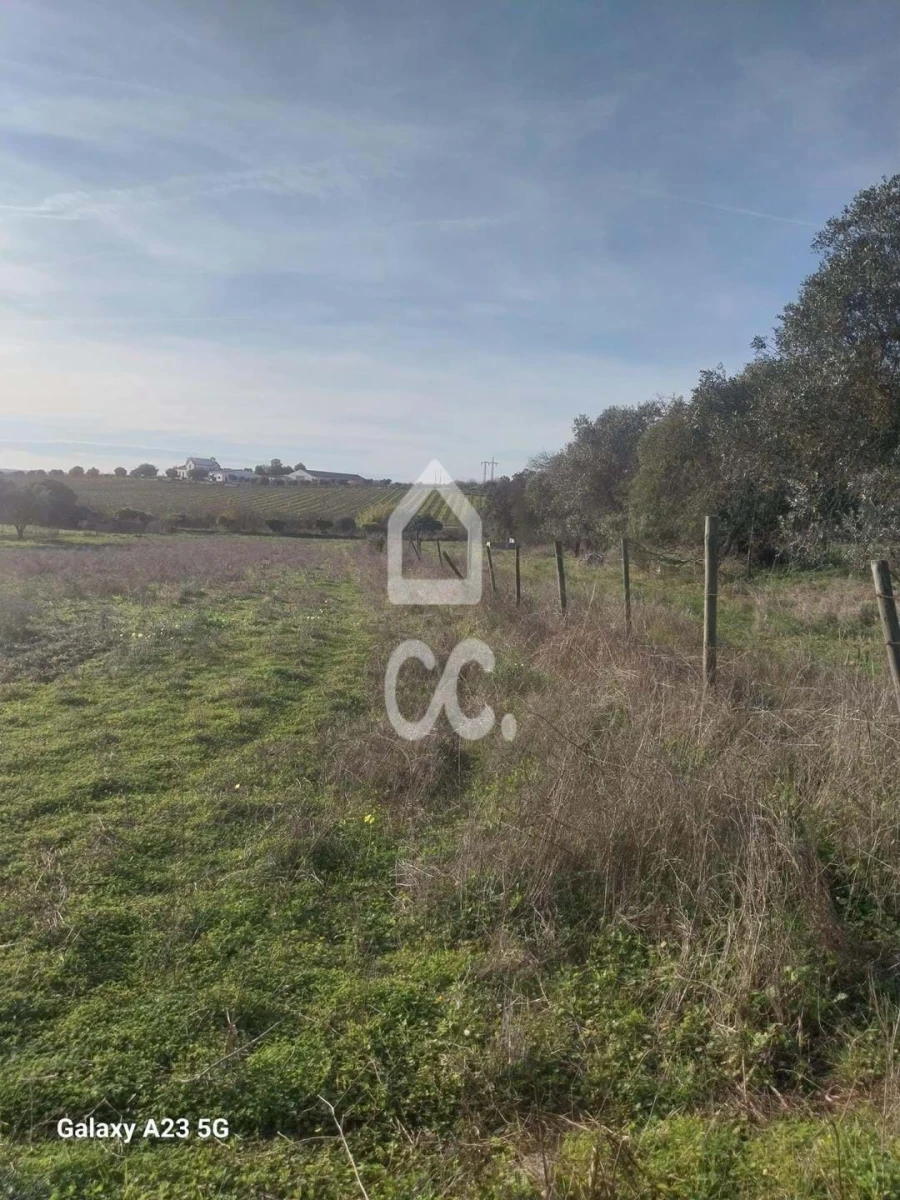 Terreno para Venda em Baleizão Foto 10