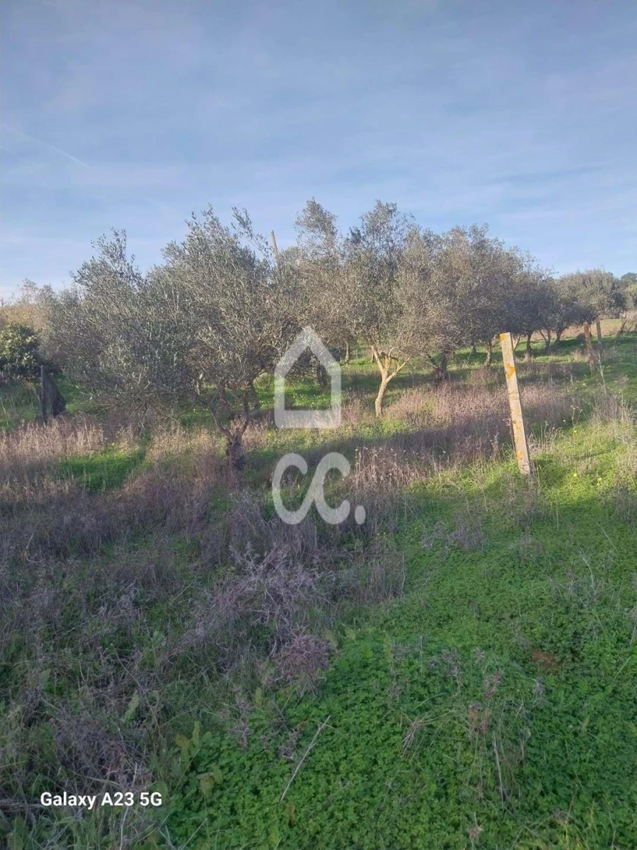 Terreno para Venda em Baleizão Foto 13