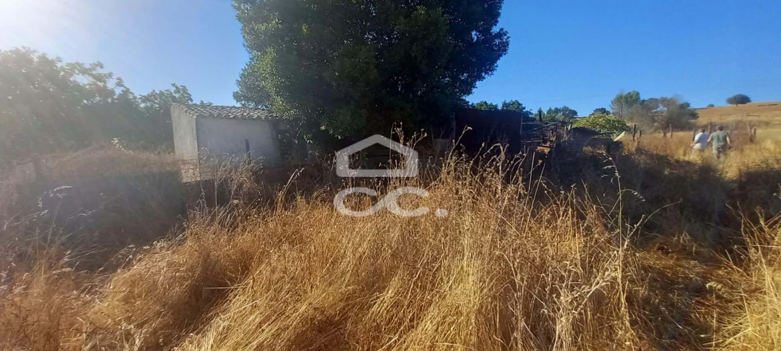 Terreno para Venda em Baleizão Foto 34