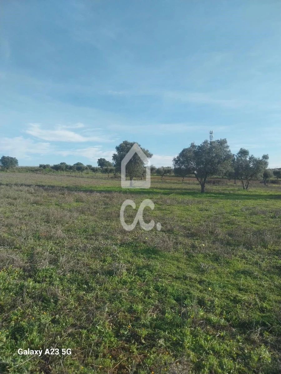 Terreno para Venda em Baleizão Foto 17