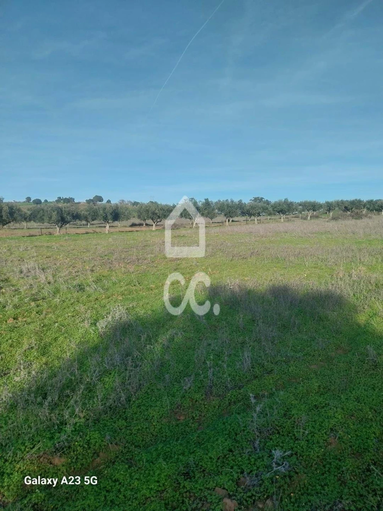 Terreno para Venda em Baleizão Foto 12