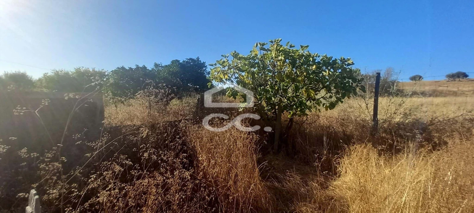 Terreno para Venda em Baleizão Foto 38