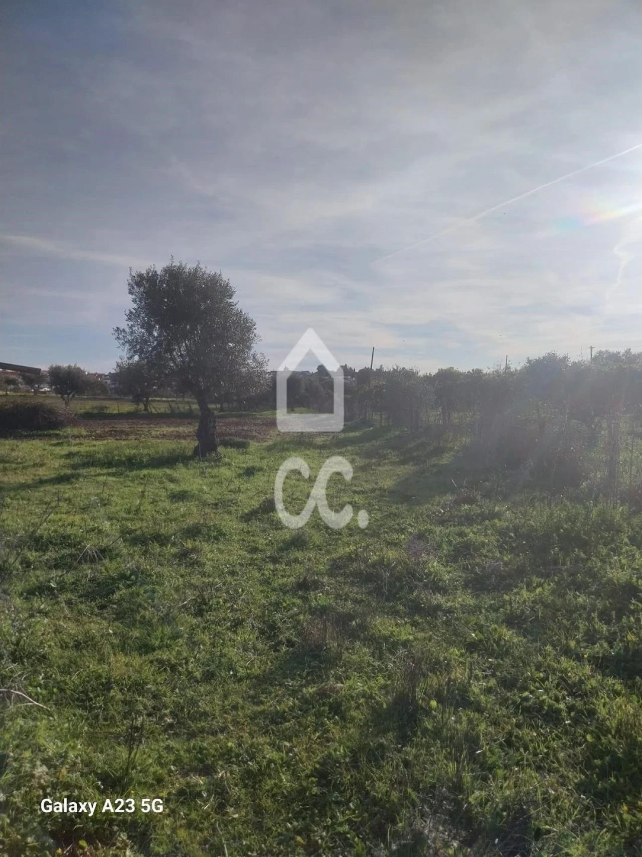 Terreno para Venda em Baleizão Foto 15