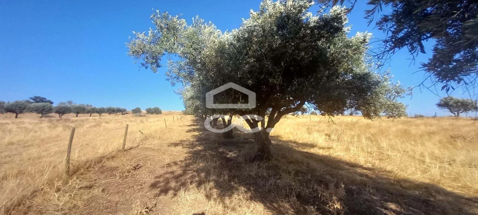 Terreno para Venda em Baleizão Foto 26