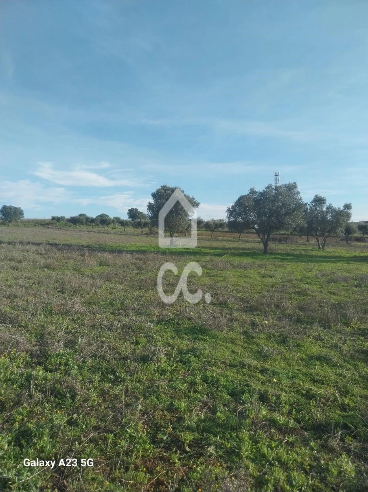Terreno para Venda em Baleizão Foto 17