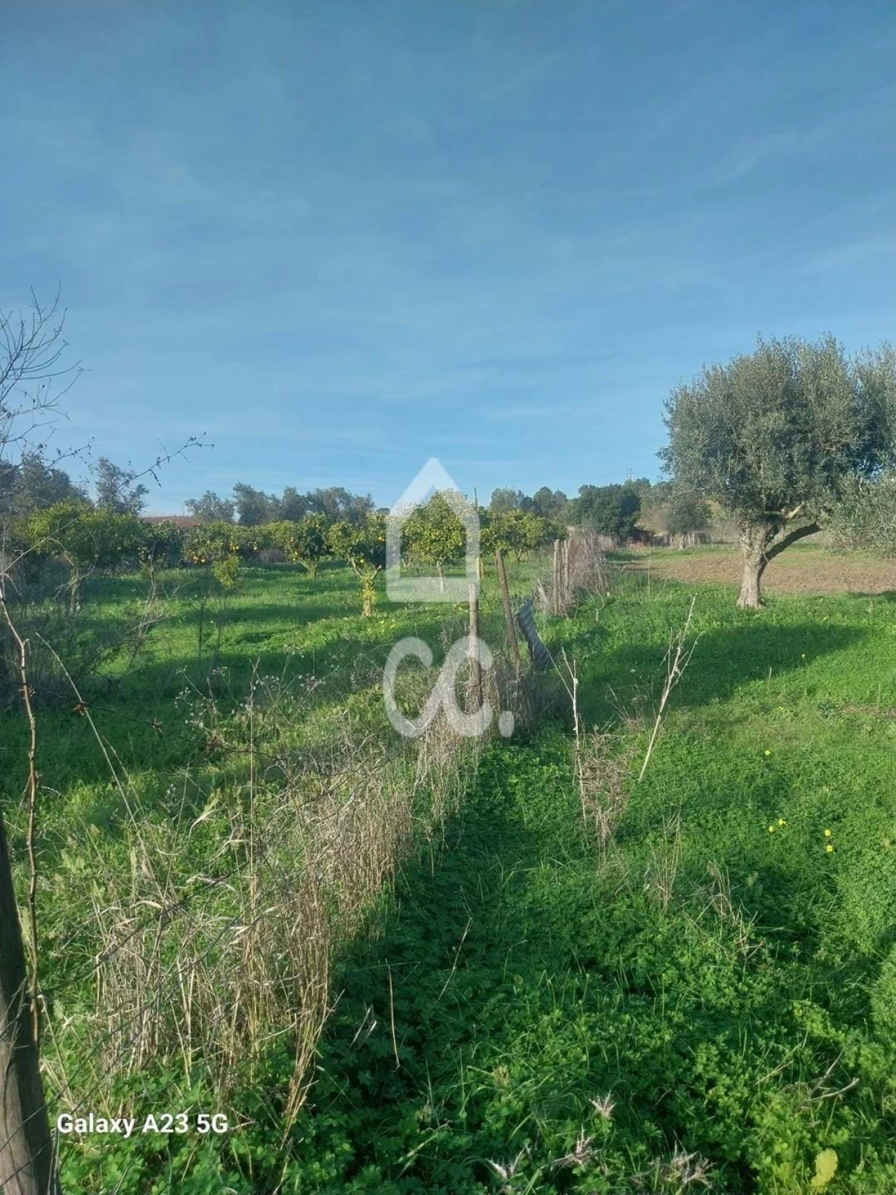 Terreno para Venda em Baleizão Foto 6