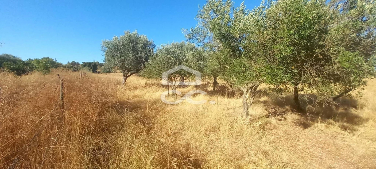Terreno para Venda em Baleizão Foto 31